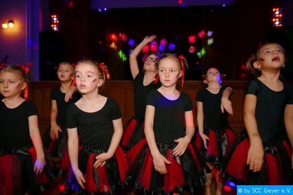 (12 Treffer & 0 Kommentare)